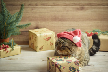 Similar image 21088184