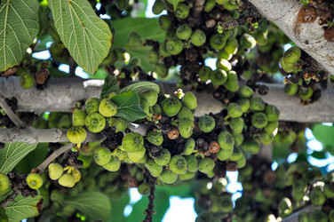 Similar image 21122206