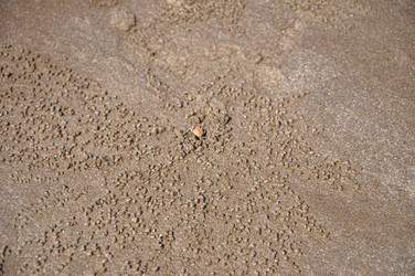 Similar image 21122213