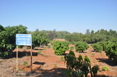 Similar image 21122215