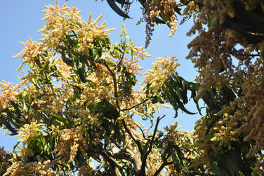 Similar image 21122216