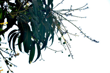 Similar image 21122217