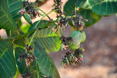 Similar image 21122218