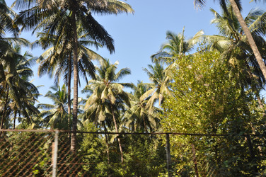 Similar image 21122219