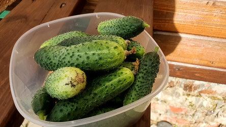 Similar image 21122220