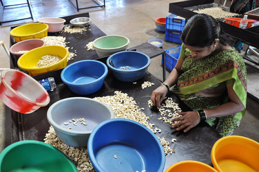 Similar image 21122222