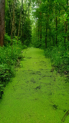 Similar image 21122230