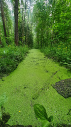 Similar image 21122232