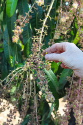 Similar image 21122237