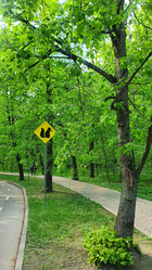 Similar image 21122239