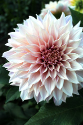 Similar image 21089916