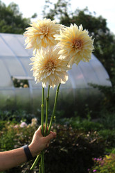 Similar image 21089917