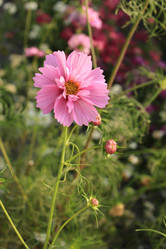 Similar image 21089918