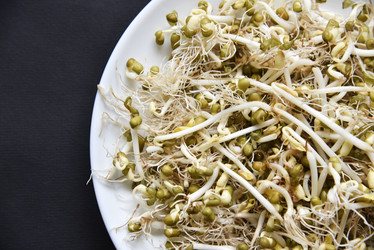 Similar image 21088185