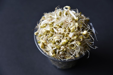 Similar image 21088186