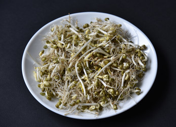 Similar image 21088187