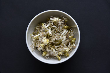 Similar image 21088188