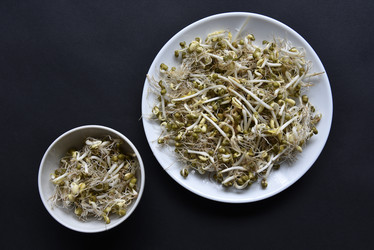 Similar image 21088189