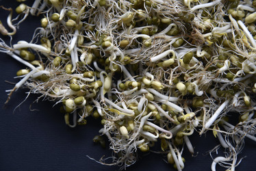 Similar image 21088190