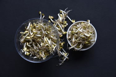 Similar image 21088191