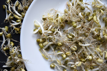 Similar image 21088193