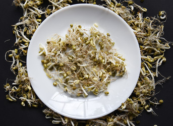 Similar image 21088194