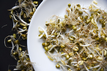 Similar image 21088195