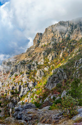 Similar image 21089231