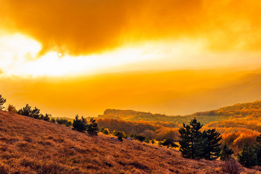 Similar image 21089241