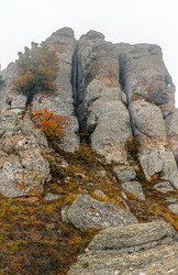 Similar image 21089255