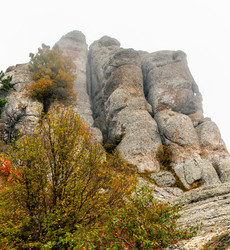 Similar image 21089256