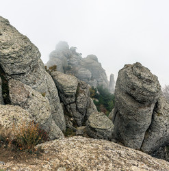 Similar image 21089259