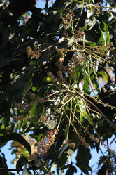 Similar image 21122704