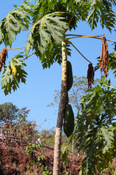 Similar image 21122705