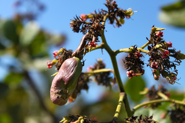 Similar image 21122714