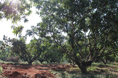 Similar image 21122715