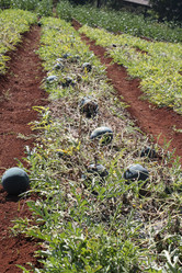 Similar image 21122722