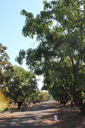 Similar image 21122739