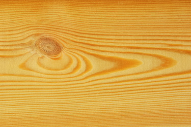 Similar image 21089929