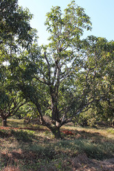 Similar image 21122242