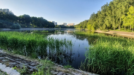 Similar image 21122250