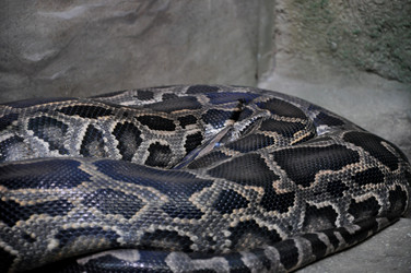 Similar image 21122254