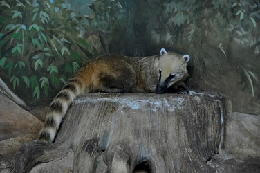 Similar image 21122255