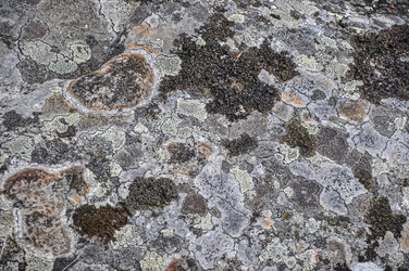 Similar image 21122259