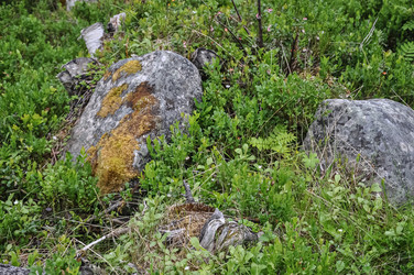 Similar image 21122261