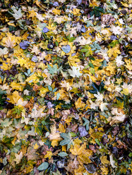 Similar image 21122262