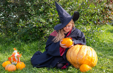 Similar image 21112619