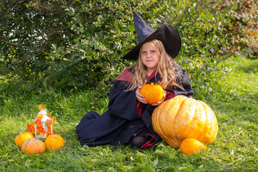 Similar image 21112620