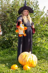 Similar image 21112622