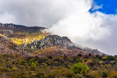 Similar image 21089277